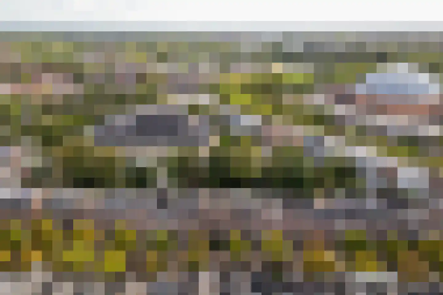 Nieuwe Boschstraat 26 Breda thumbnail 4