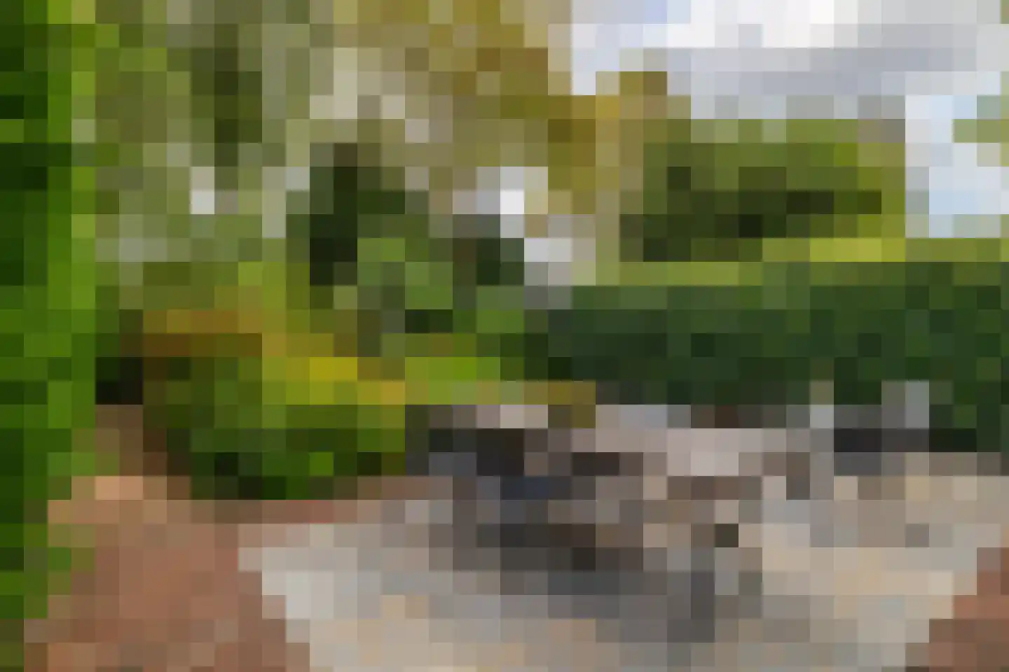 Nieuwe Boschstraat 26 Breda thumbnail 42