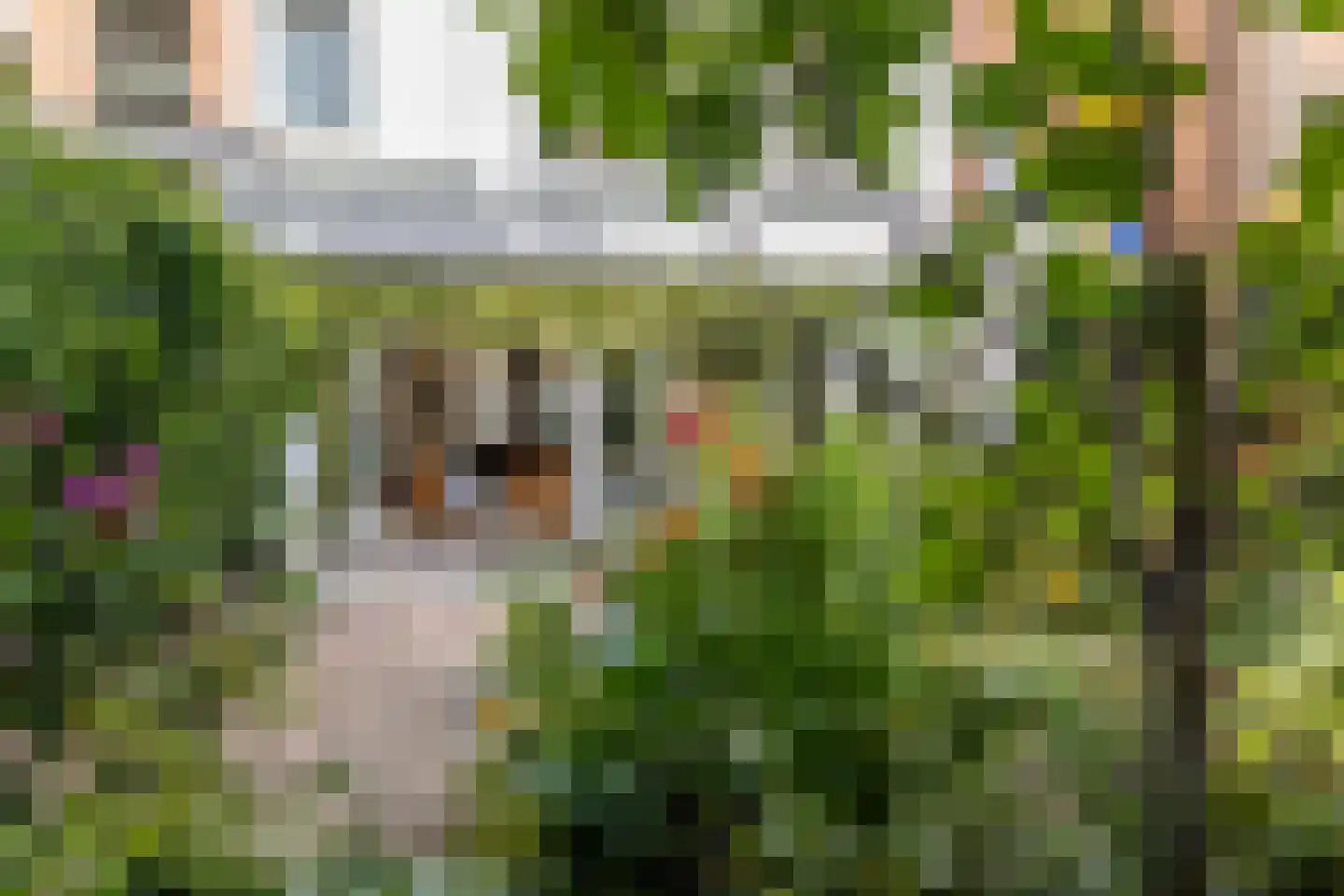 Nieuwe Boschstraat 26 Breda thumbnail 43