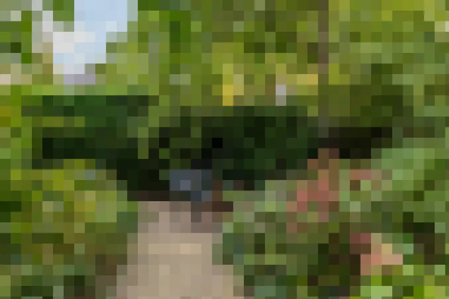Nieuwe Boschstraat 26 Breda thumbnail 44