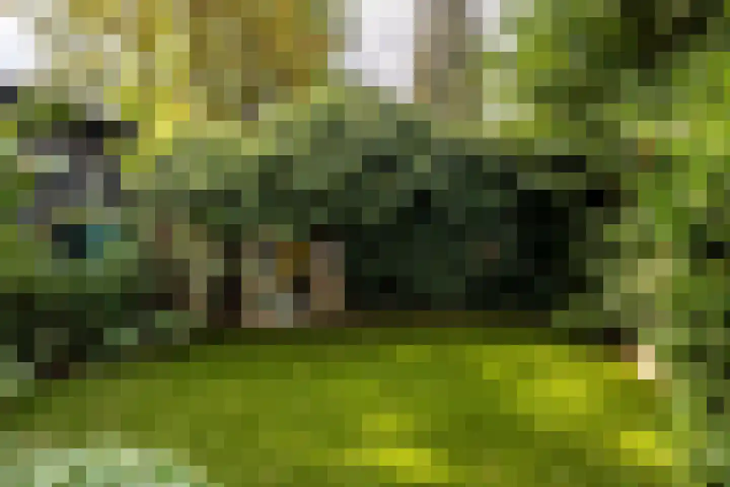 Nieuwe Boschstraat 26 Breda thumbnail 45