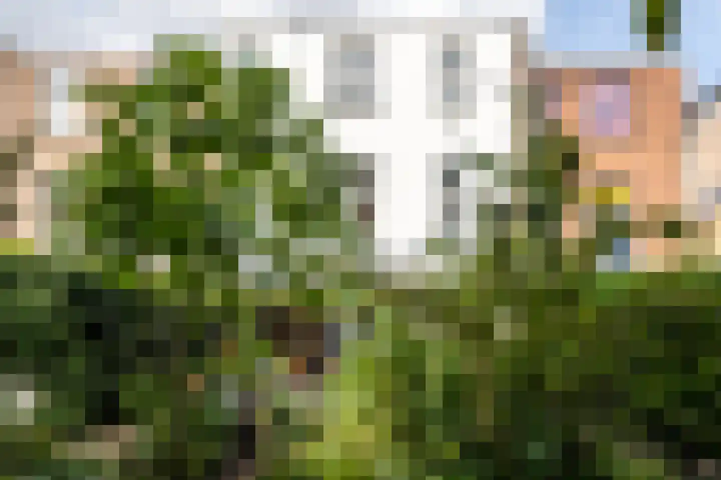 Nieuwe Boschstraat 26 Breda thumbnail 47