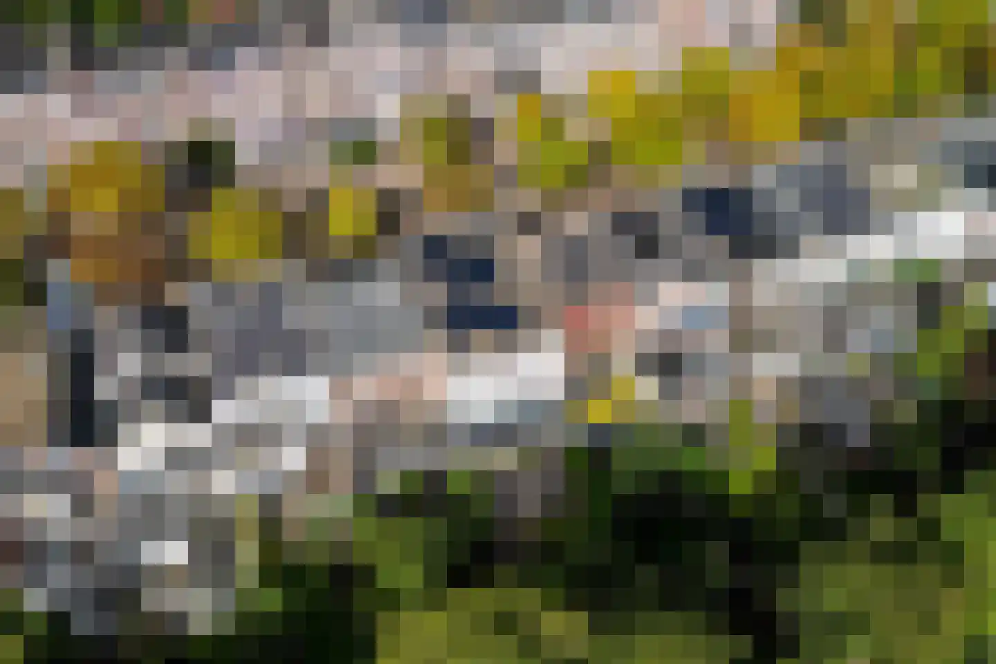 Nieuwe Boschstraat 26 Breda thumbnail 48