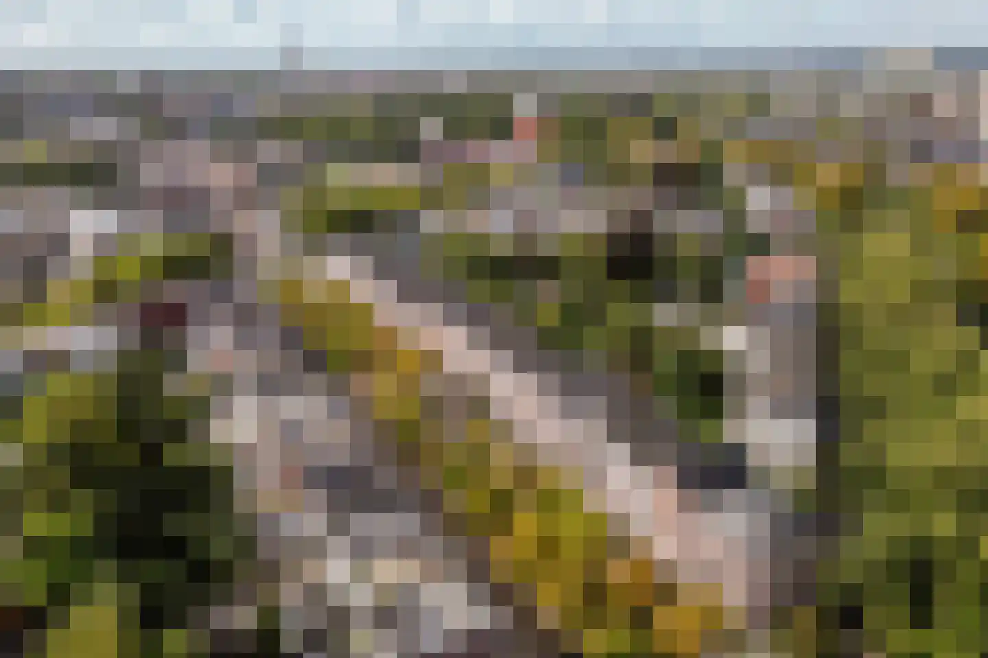Nieuwe Boschstraat 26 Breda thumbnail 49