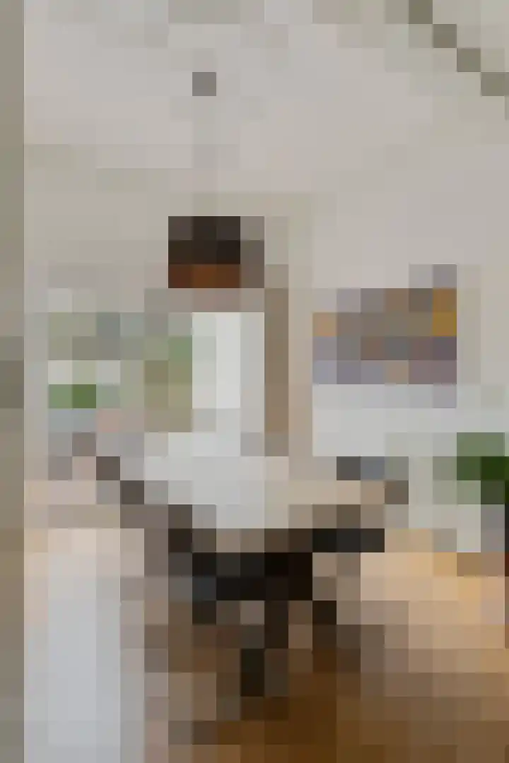 Nieuwe Boschstraat 8 Breda thumbnail 18