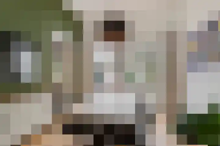 Nieuwe Boschstraat 8 Breda thumbnail 20