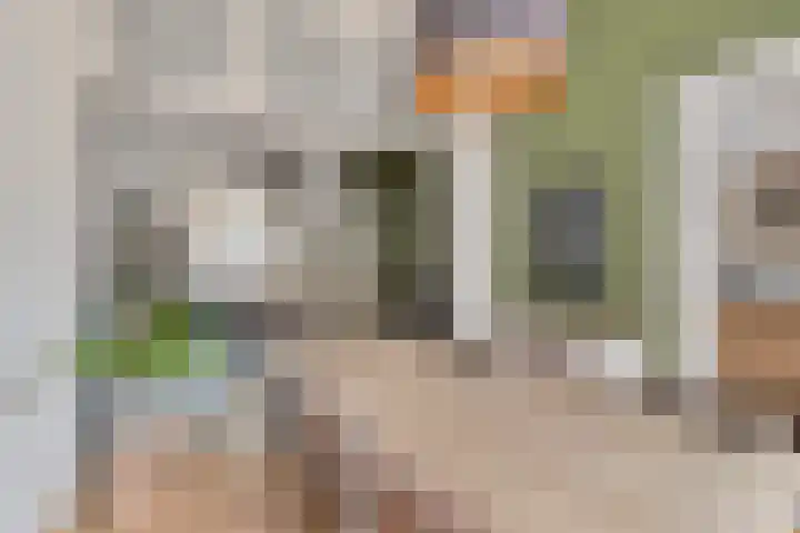 Nieuwe Boschstraat 8 Breda thumbnail 21