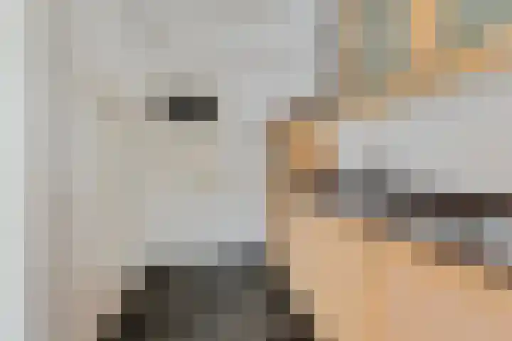 Nieuwe Boschstraat 8 Breda thumbnail 23
