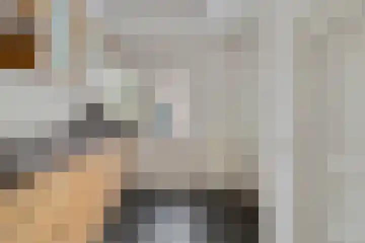 Nieuwe Boschstraat 8 Breda thumbnail 24