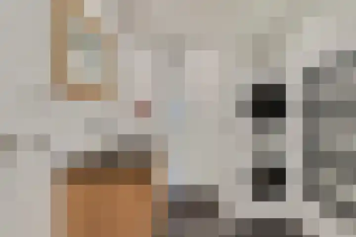 Nieuwe Boschstraat 8 Breda thumbnail 25