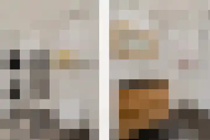 Nieuwe Boschstraat 8 Breda thumbnail 26