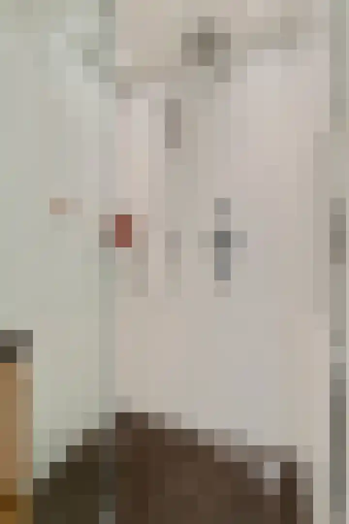 Nieuwe Boschstraat 8 Breda thumbnail 27