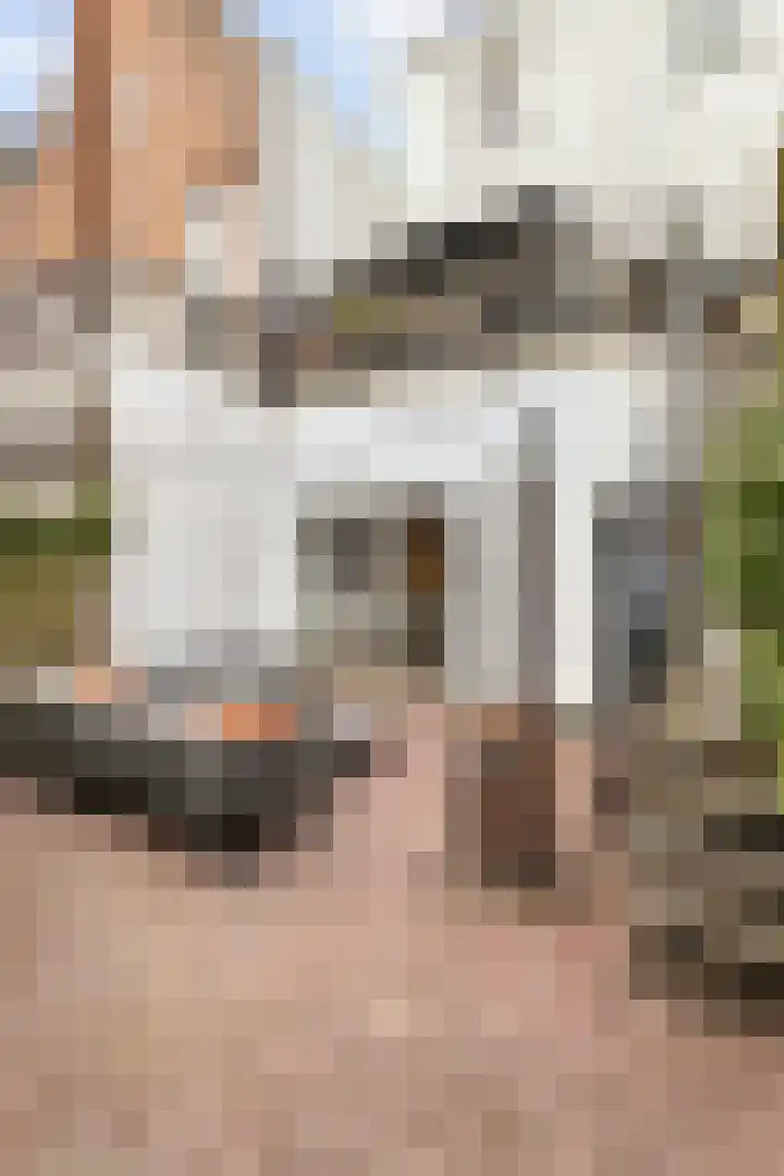 Nieuwe Boschstraat 8 Breda thumbnail 30