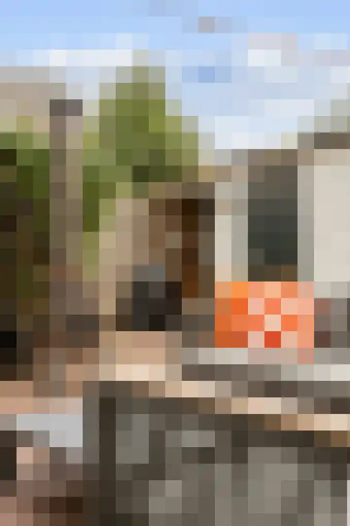 Nieuwe Boschstraat 8 Breda thumbnail 31
