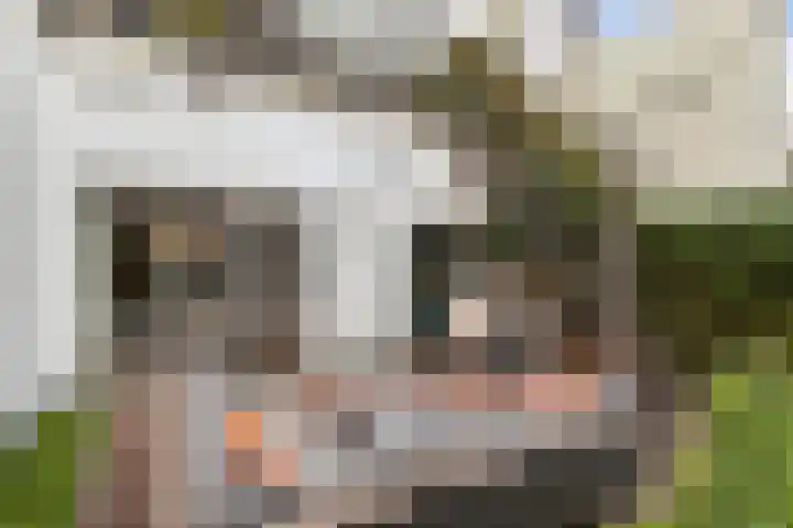 Nieuwe Boschstraat 8 Breda thumbnail 32
