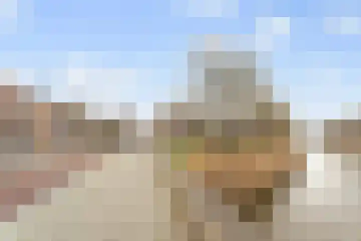 Nieuwe Boschstraat 8 Breda thumbnail 34