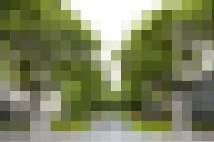 Nieuwe Boschstraat 8 Breda thumbnail 38