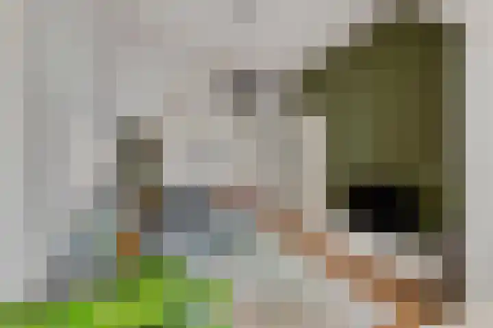 Nieuwe Boschstraat 8 Breda thumbnail 7