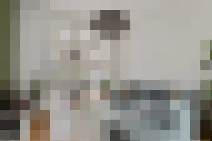 Nieuwe Boschstraat 8 Breda thumbnail 9