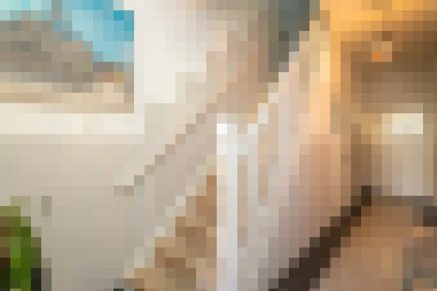 Nieuwe Bosscheweg 12 Tilburg thumbnail 16