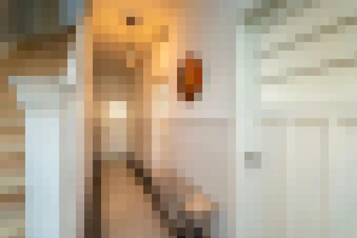 Nieuwe Bosscheweg 12 Tilburg thumbnail 17