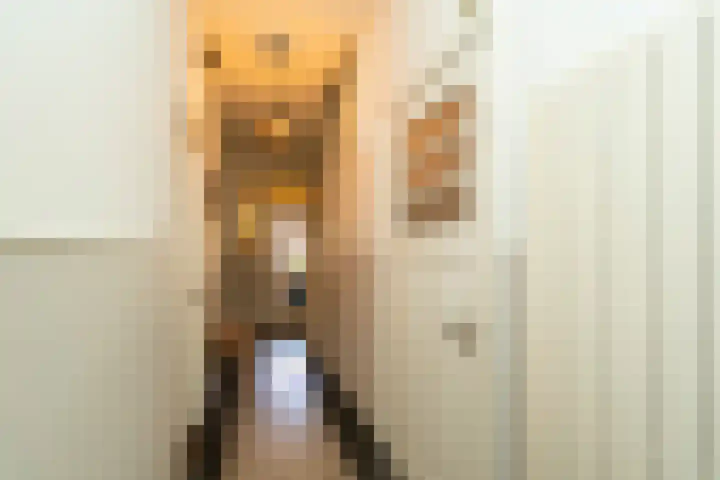 Nieuwe Bosscheweg 12 Tilburg thumbnail 18