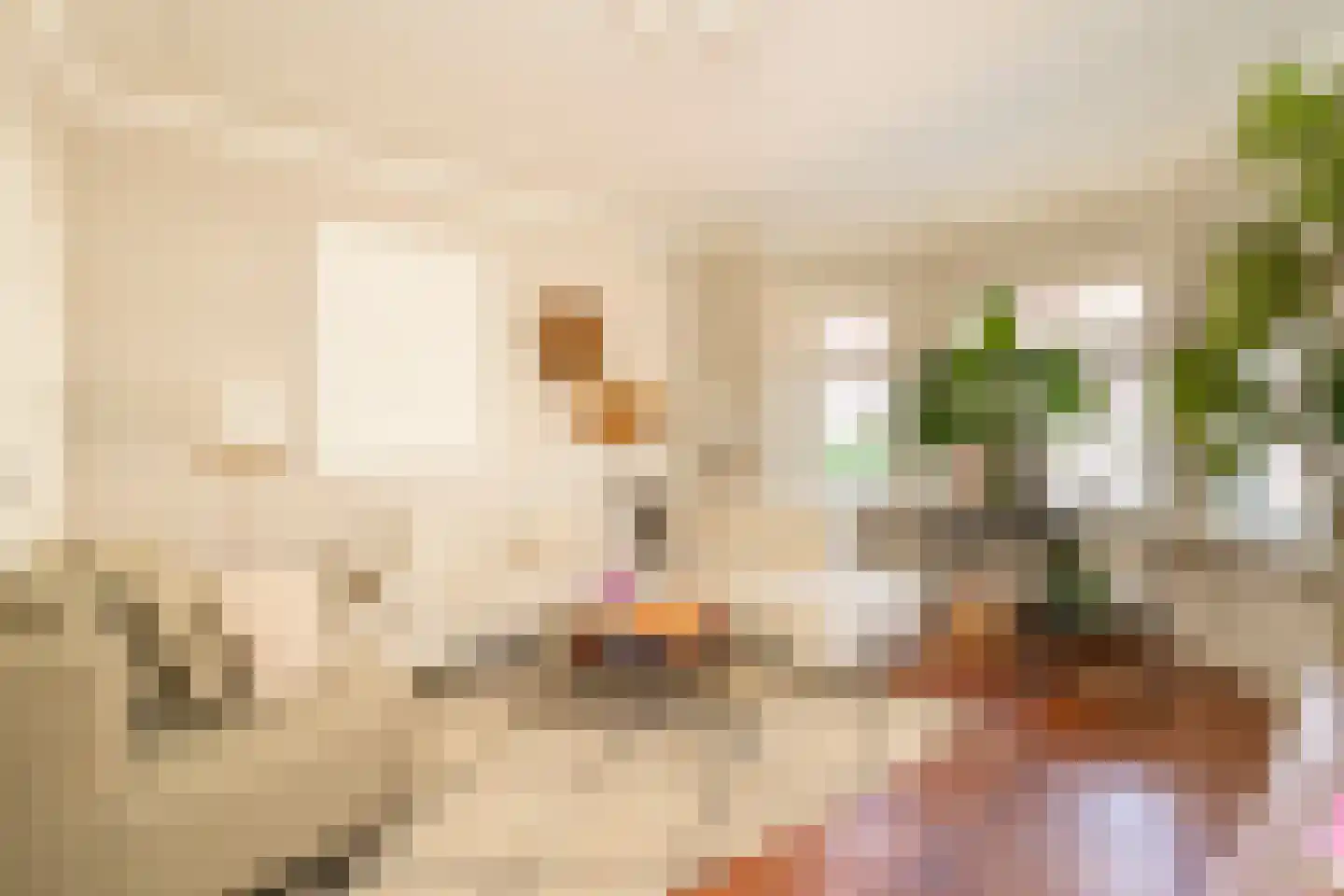 Nieuwe Bosscheweg 12 Tilburg thumbnail 19