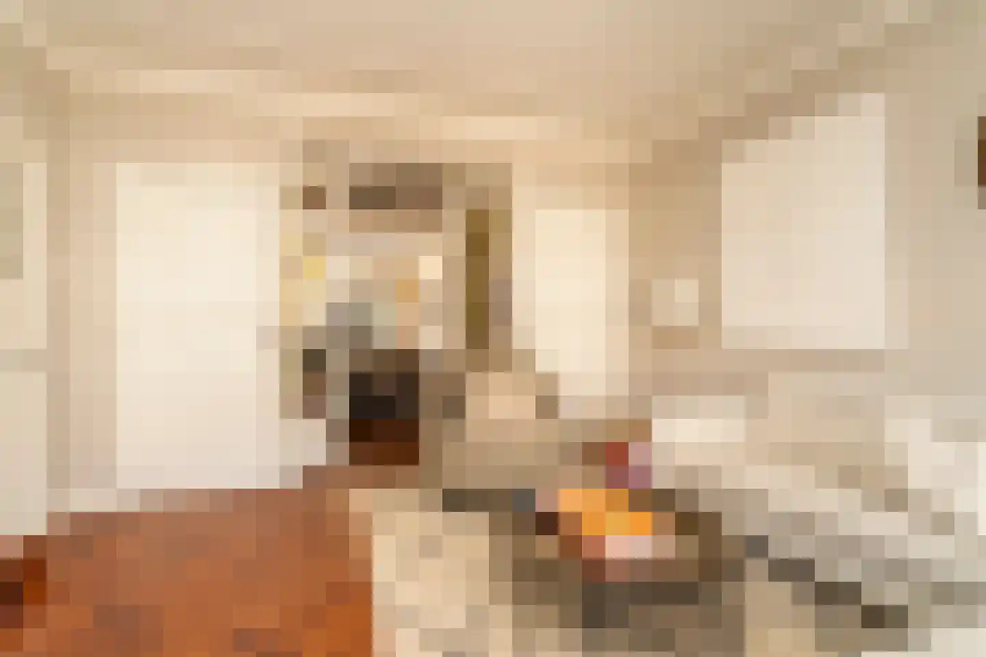 Nieuwe Bosscheweg 12 Tilburg thumbnail 20