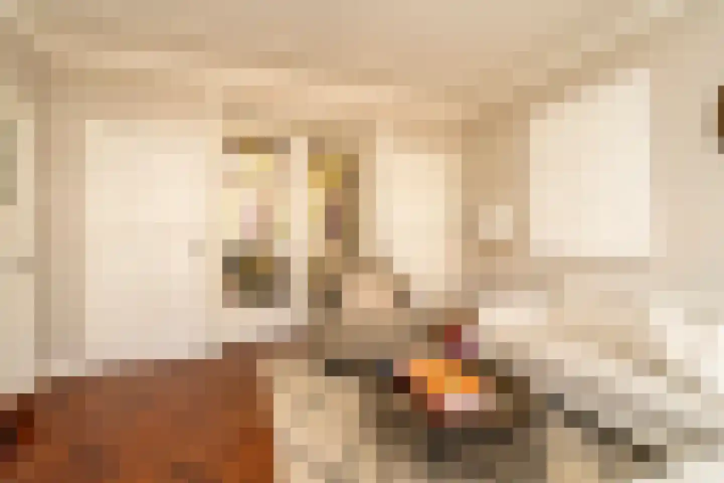 Nieuwe Bosscheweg 12 Tilburg thumbnail 21