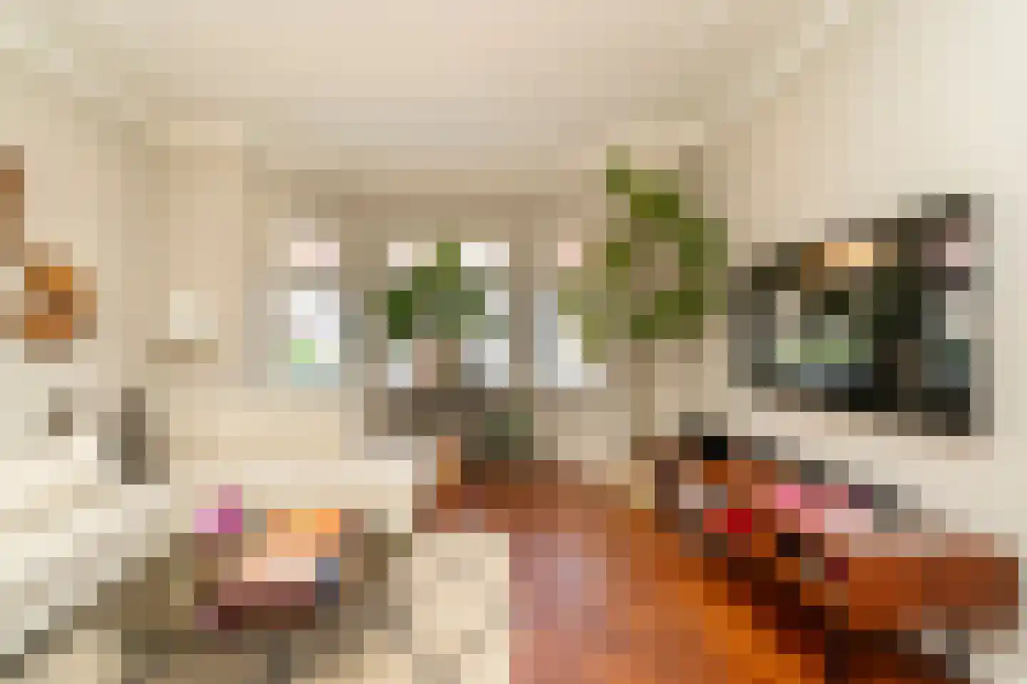 Nieuwe Bosscheweg 12 Tilburg thumbnail 23