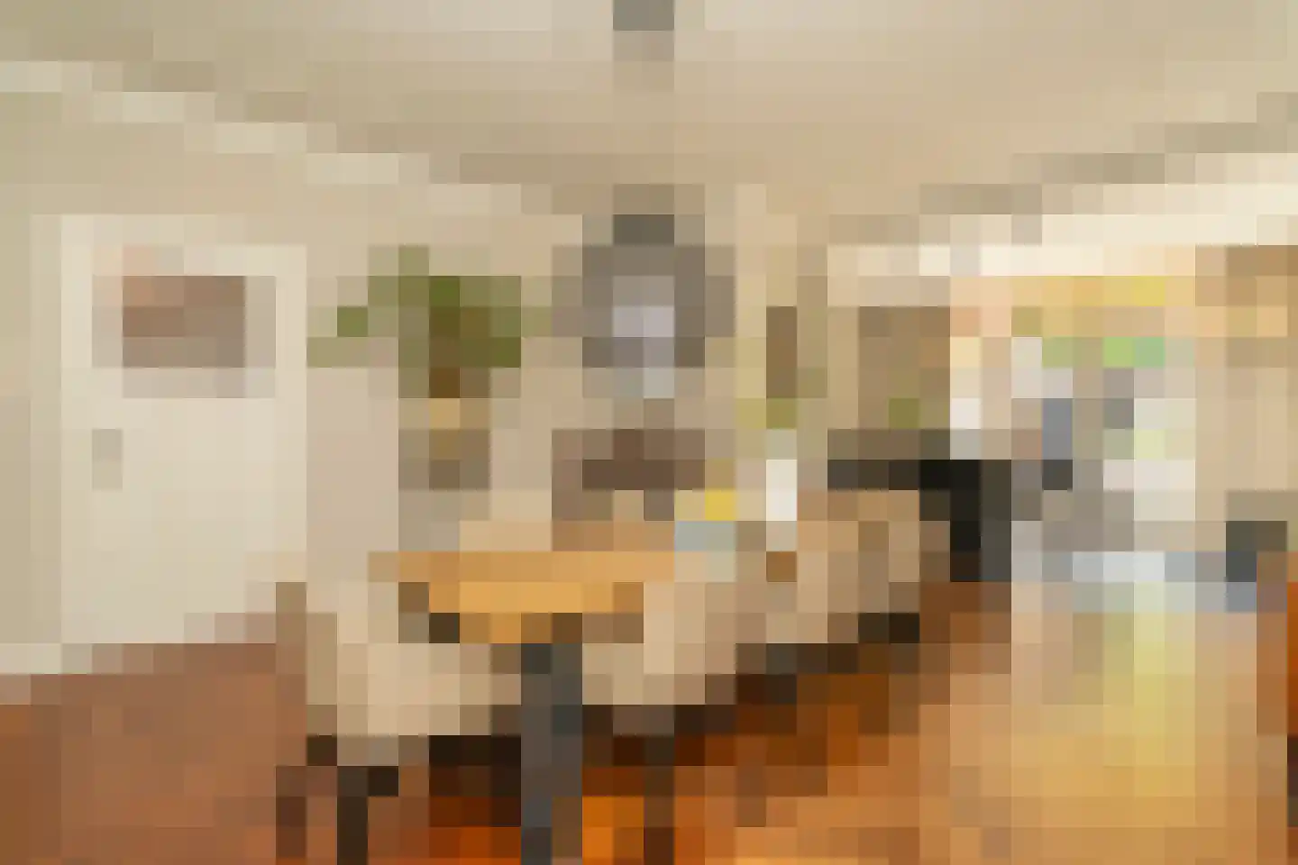 Nieuwe Bosscheweg 12 Tilburg thumbnail 27