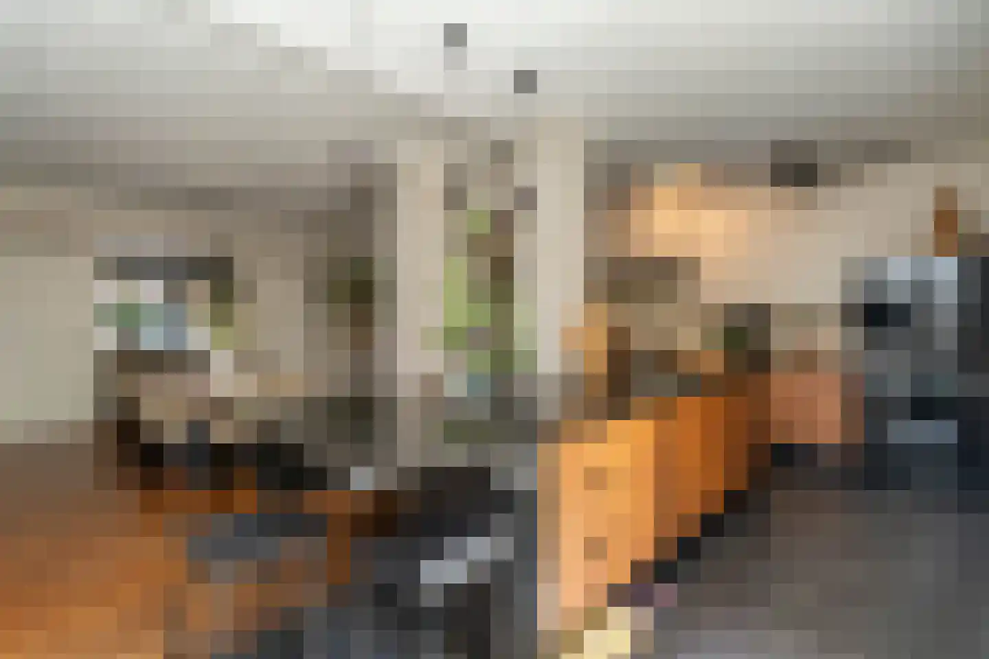 Nieuwe Bosscheweg 12 Tilburg thumbnail 29