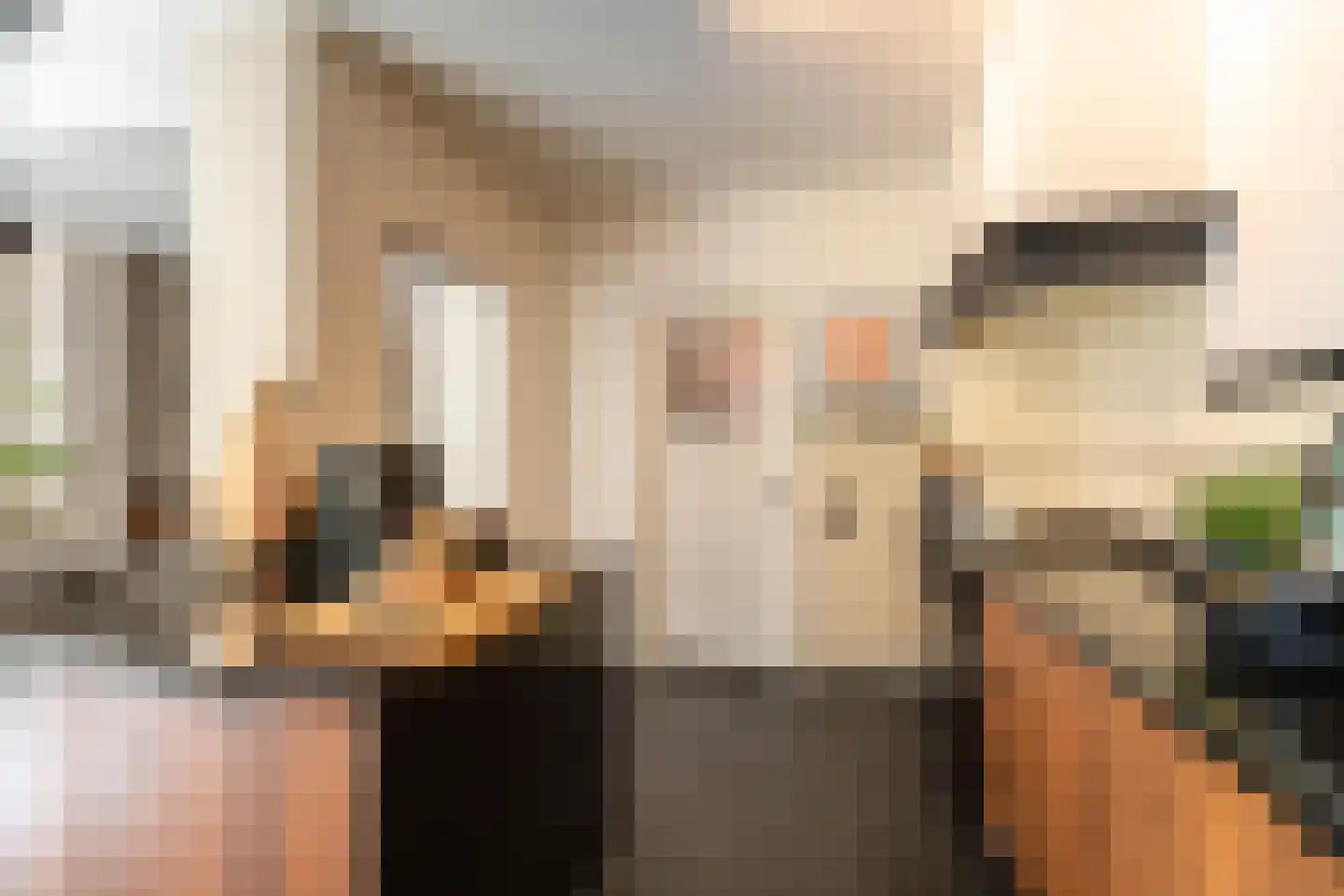 Nieuwe Bosscheweg 12 Tilburg thumbnail 31