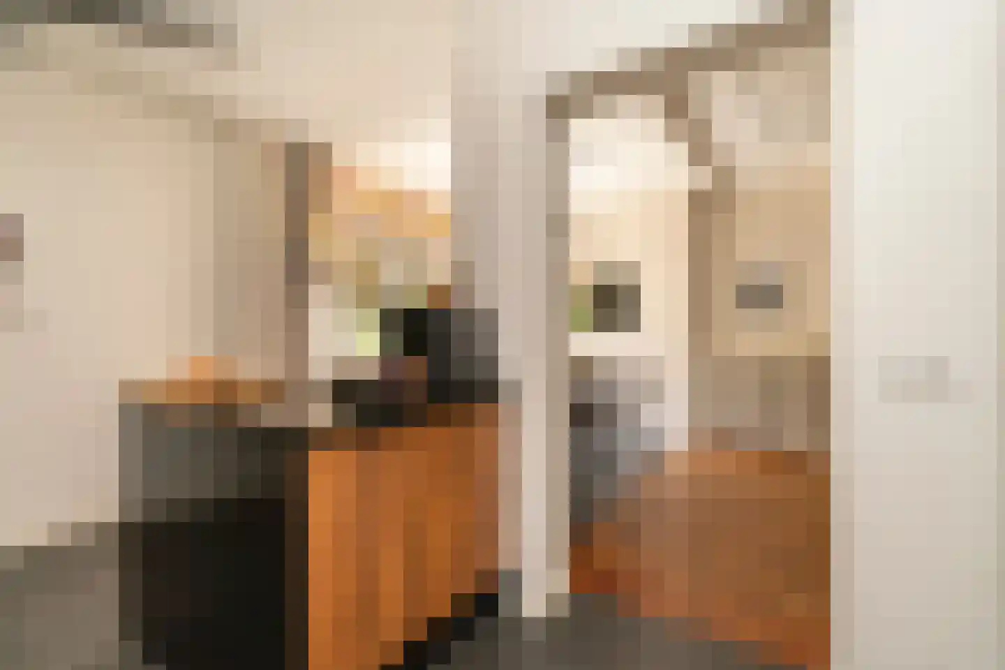 Nieuwe Bosscheweg 12 Tilburg thumbnail 33