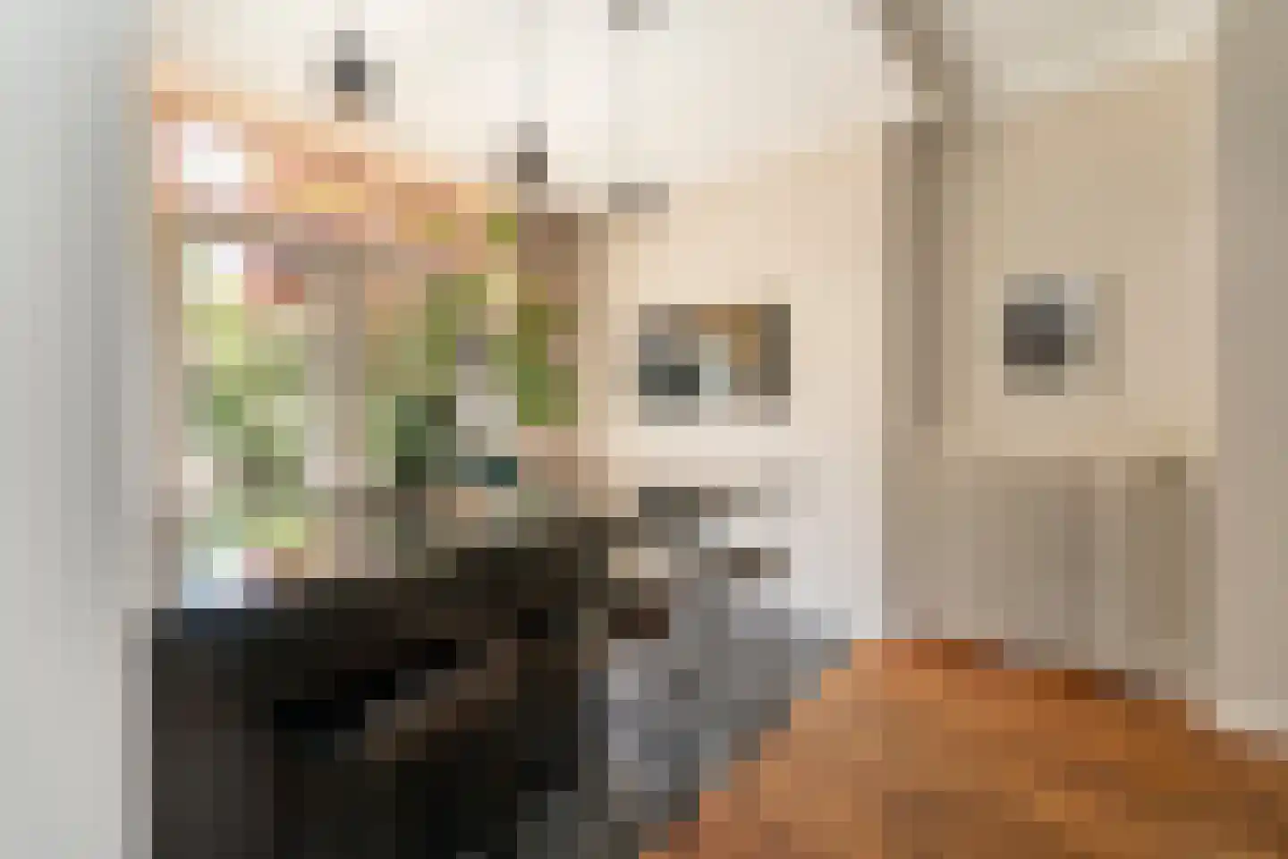 Nieuwe Bosscheweg 12 Tilburg thumbnail 34