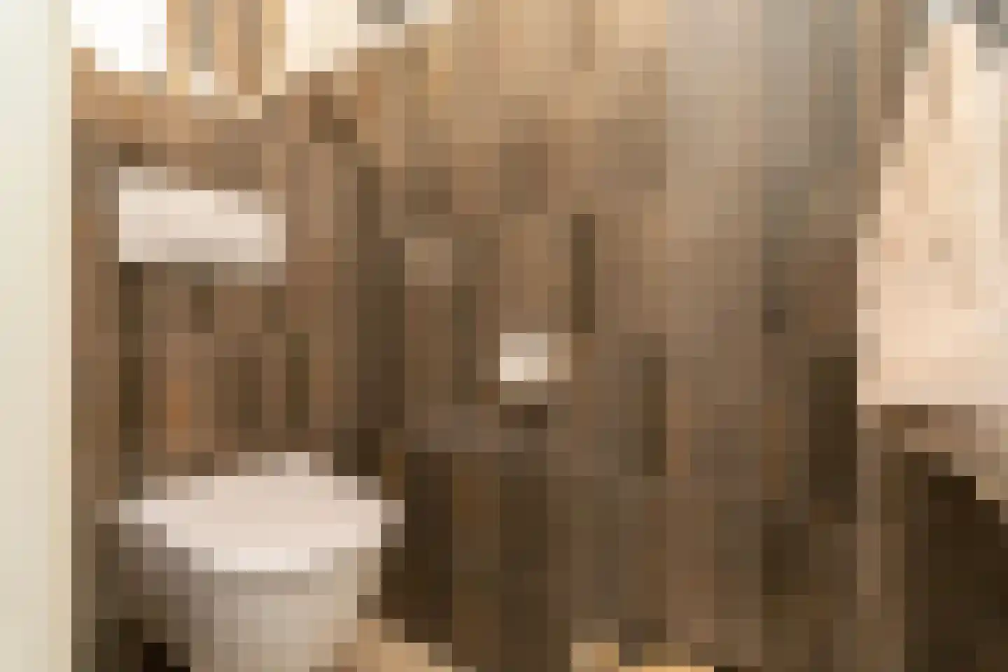 Nieuwe Bosscheweg 12 Tilburg thumbnail 35