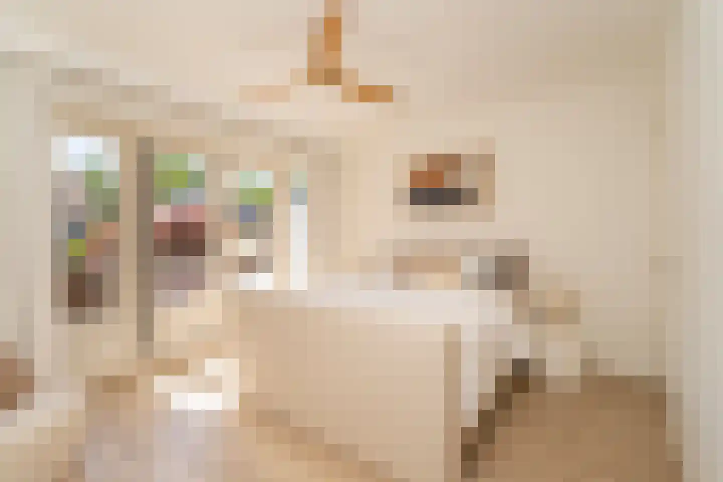 Nieuwe Bosscheweg 12 Tilburg thumbnail 37