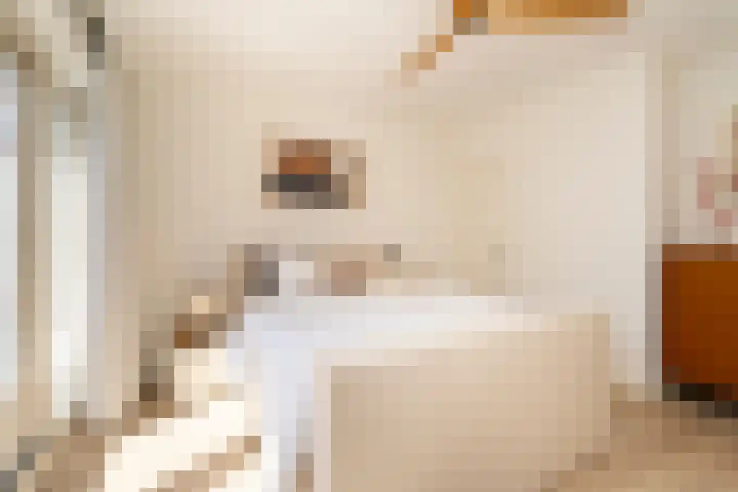 Nieuwe Bosscheweg 12 Tilburg thumbnail 38