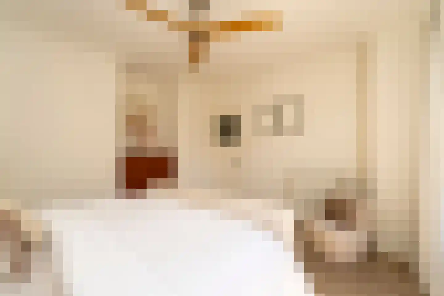 Nieuwe Bosscheweg 12 Tilburg thumbnail 39