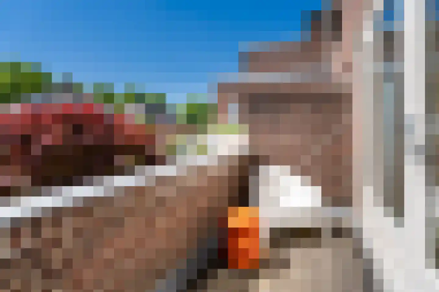 Nieuwe Bosscheweg 12 Tilburg thumbnail 40
