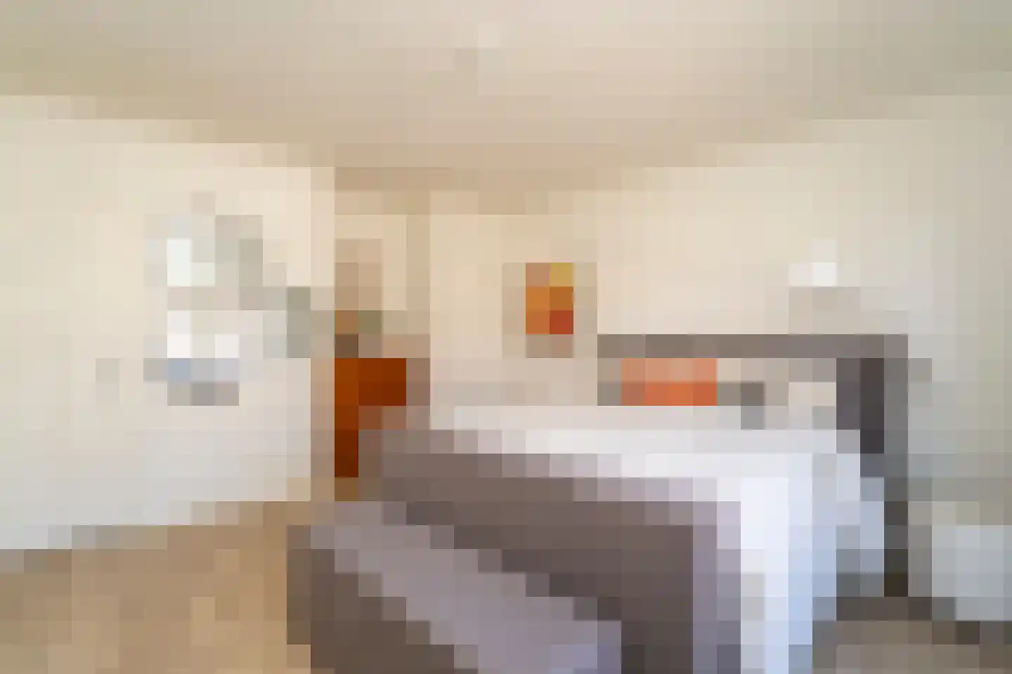 Nieuwe Bosscheweg 12 Tilburg thumbnail 43