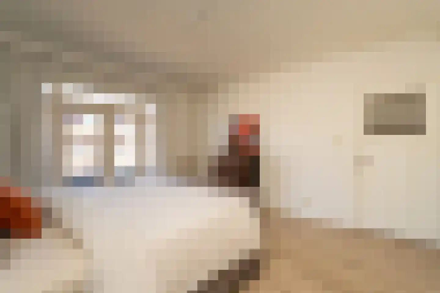 Nieuwe Bosscheweg 12 Tilburg thumbnail 44