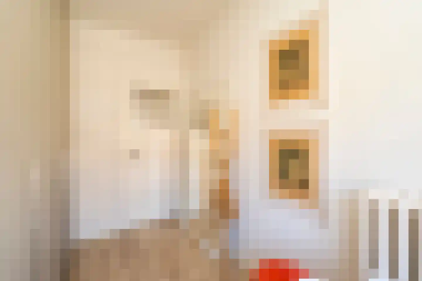 Nieuwe Bosscheweg 12 Tilburg thumbnail 47