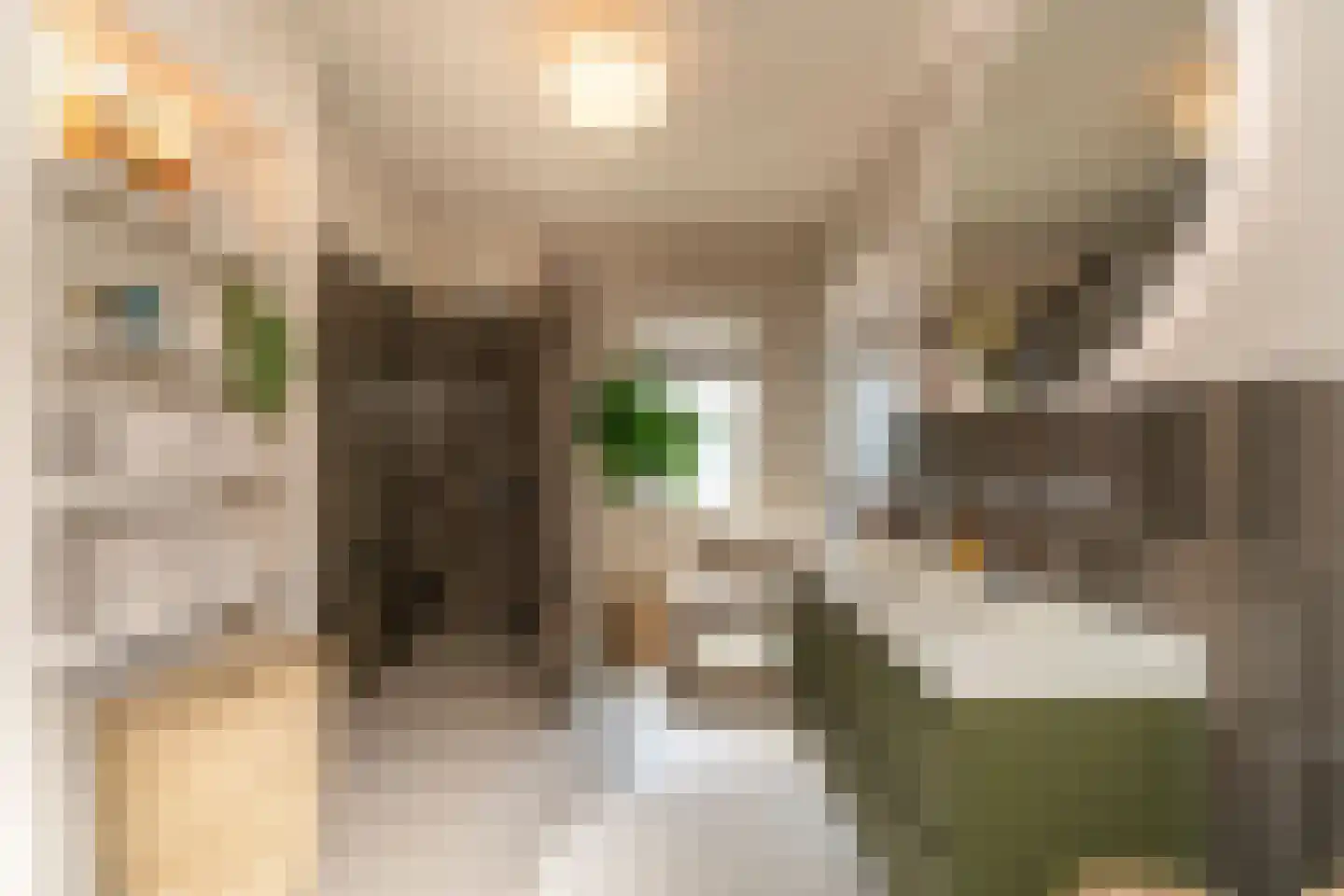 Nieuwe Bosscheweg 12 Tilburg thumbnail 49