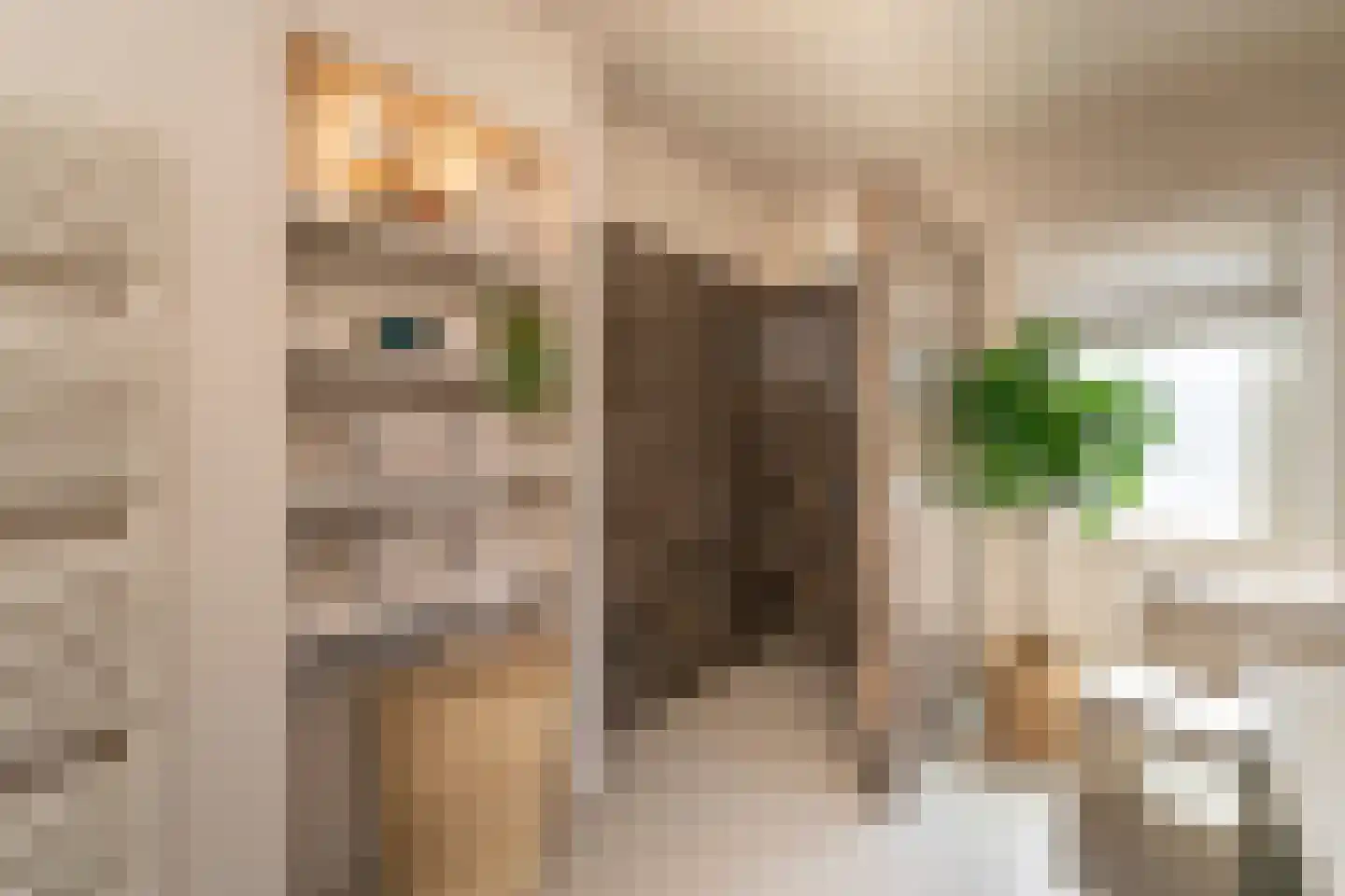 Nieuwe Bosscheweg 12 Tilburg thumbnail 50