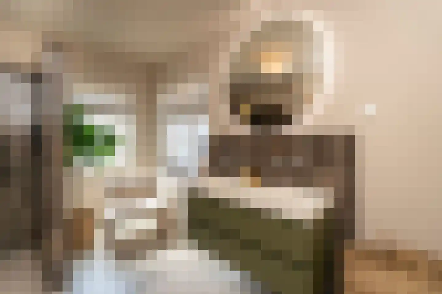 Nieuwe Bosscheweg 12 Tilburg thumbnail 51