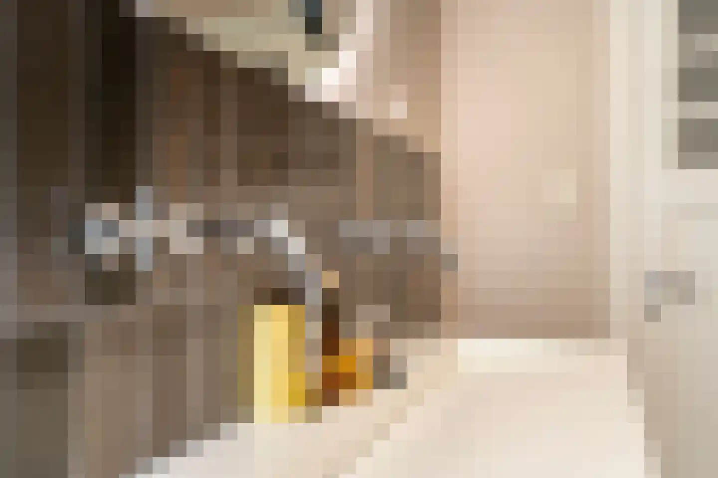 Nieuwe Bosscheweg 12 Tilburg thumbnail 52