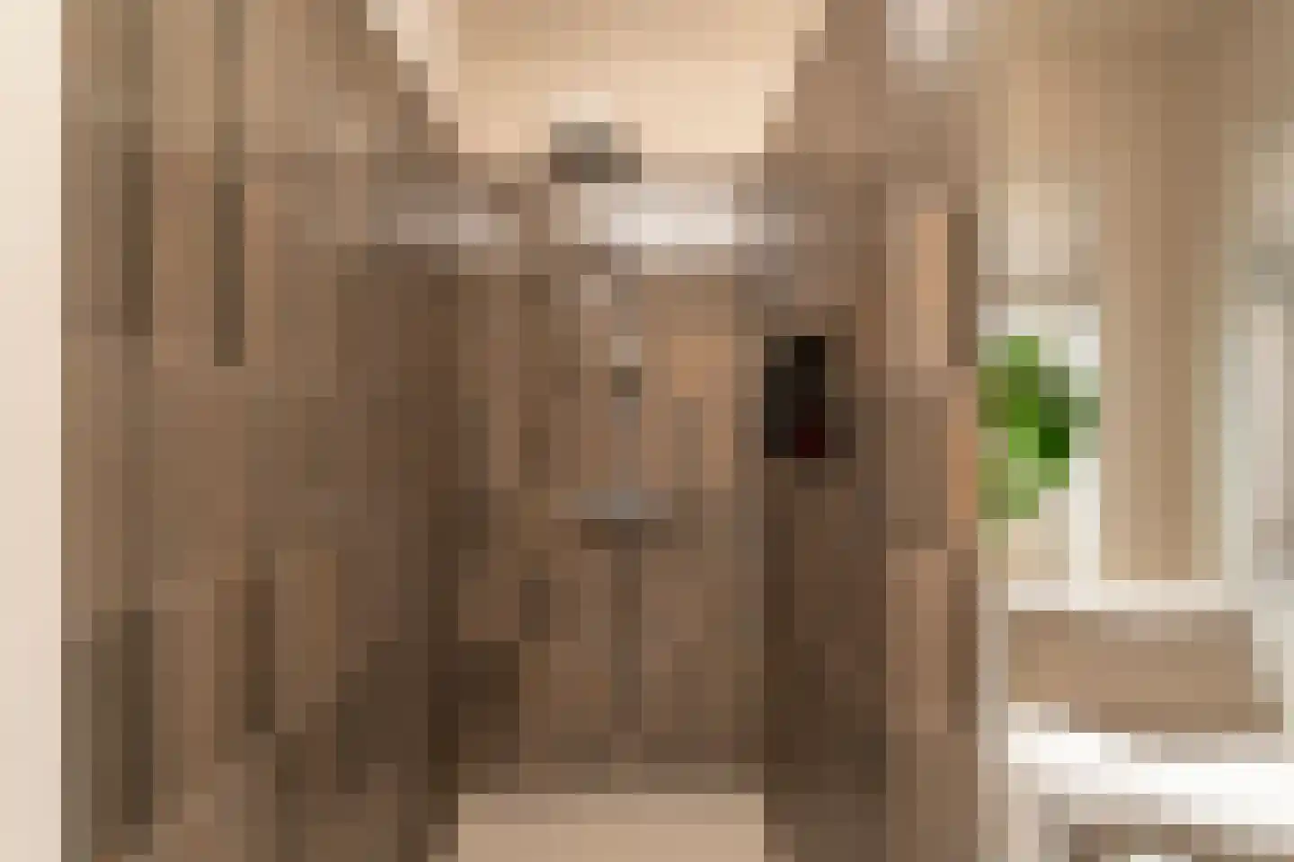 Nieuwe Bosscheweg 12 Tilburg thumbnail 53