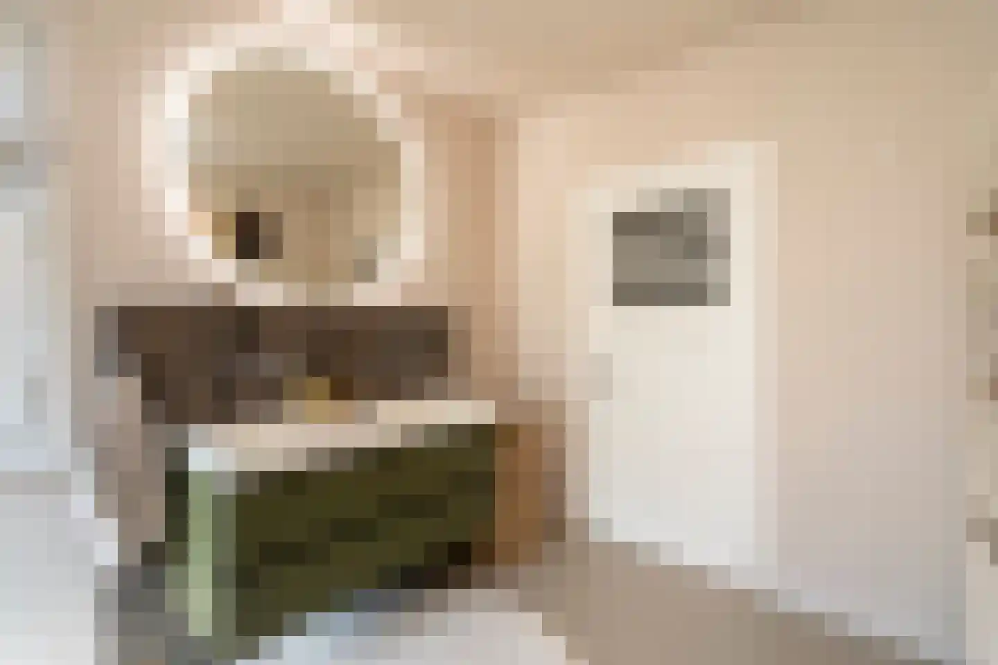 Nieuwe Bosscheweg 12 Tilburg thumbnail 54