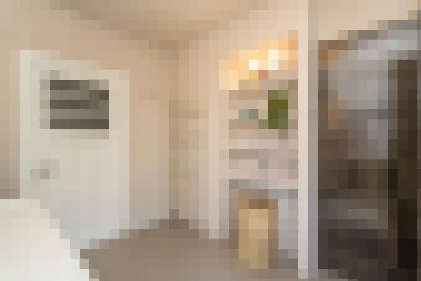 Nieuwe Bosscheweg 12 Tilburg thumbnail 55